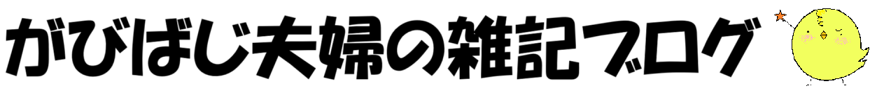 がびばじ夫婦の雑記ブログ